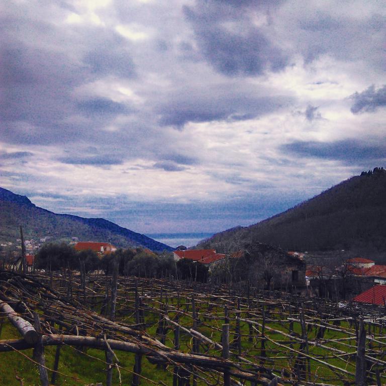 Agriturismo Mare e Monti Affittacamere Tramonti Esterno foto