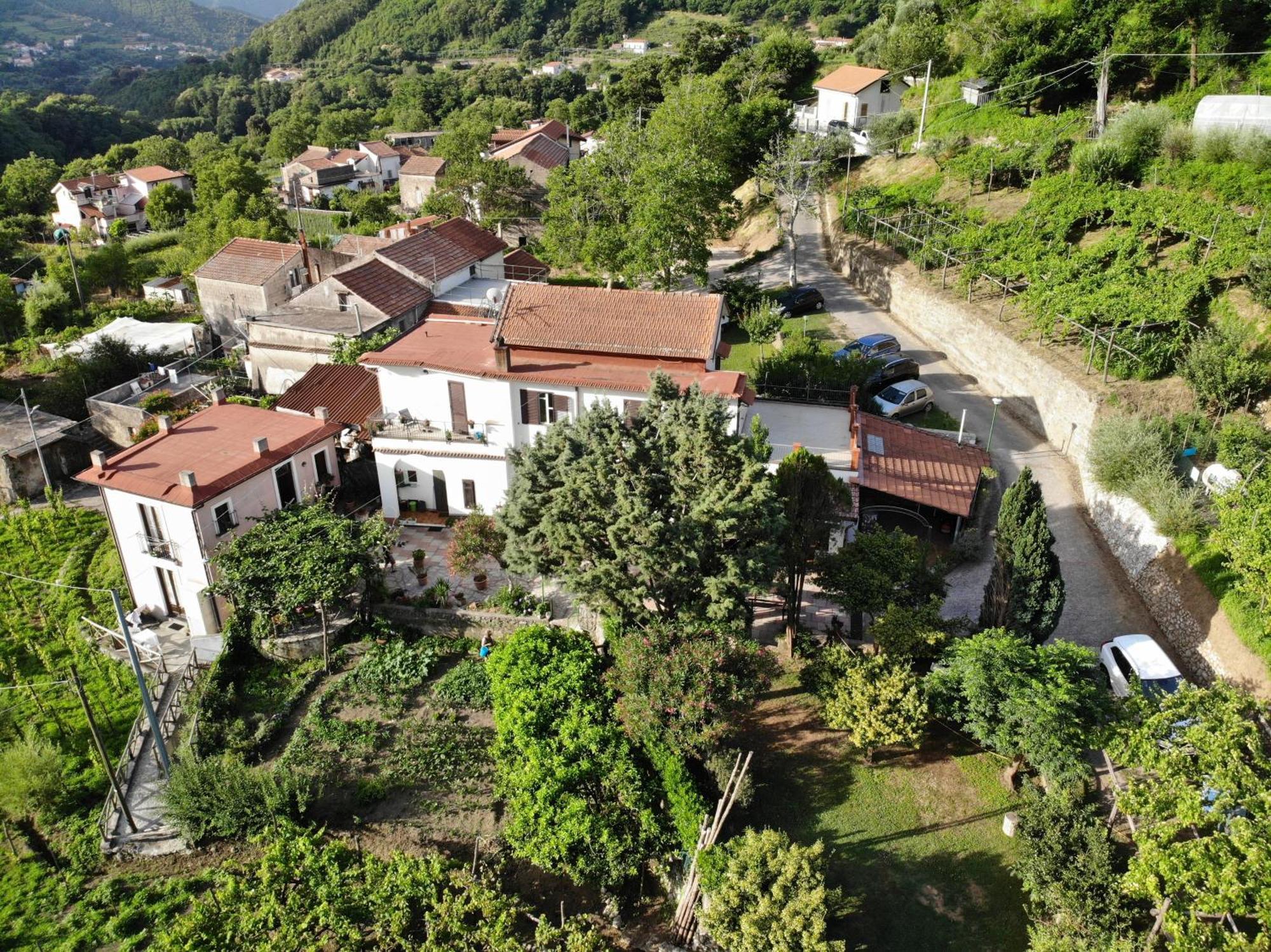 Agriturismo Mare e Monti Affittacamere Tramonti Esterno foto