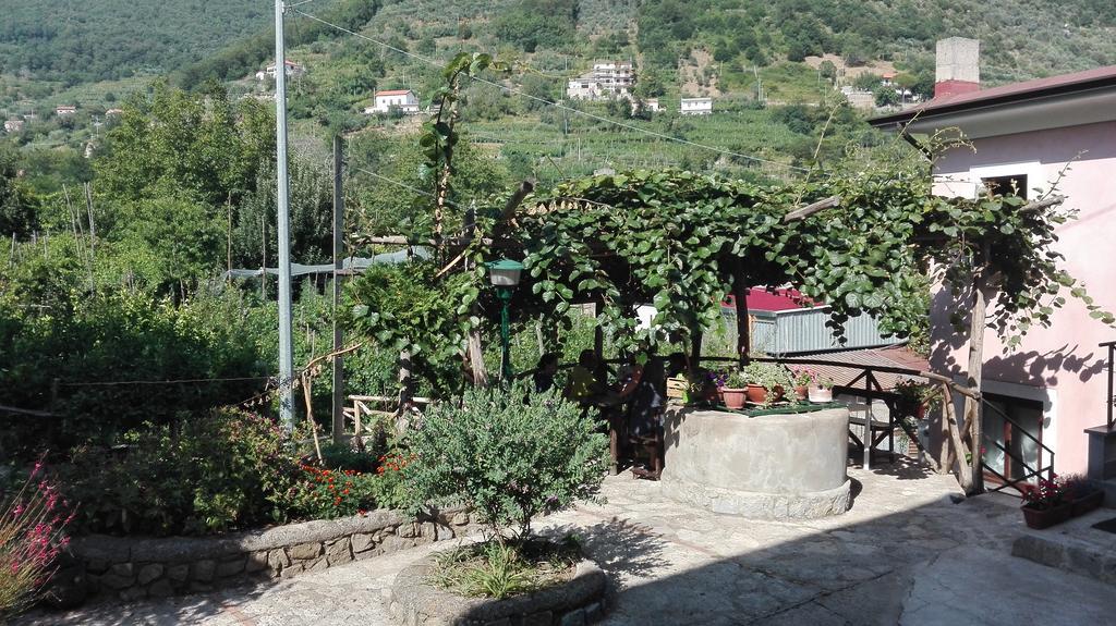 Agriturismo Mare e Monti Affittacamere Tramonti Esterno foto