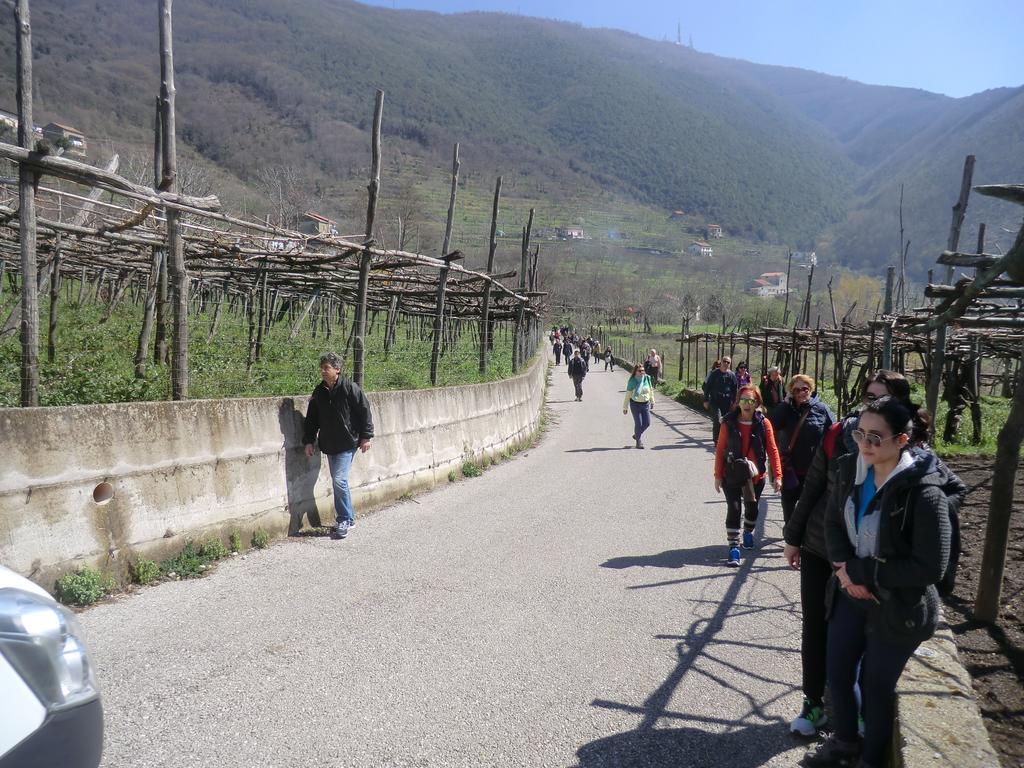 Agriturismo Mare e Monti Affittacamere Tramonti Esterno foto