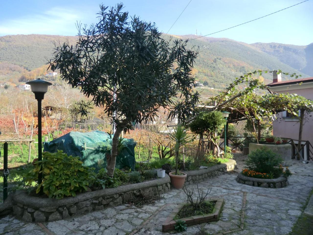 Agriturismo Mare e Monti Affittacamere Tramonti Esterno foto